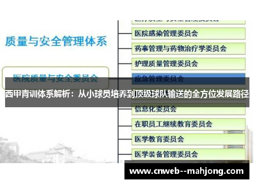 西甲青训体系解析：从小球员培养到顶级球队输送的全方位发展路径