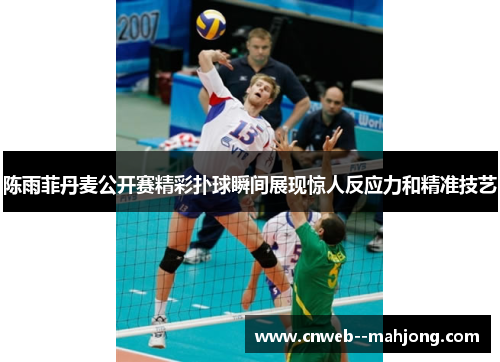 陈雨菲丹麦公开赛精彩扑球瞬间展现惊人反应力和精准技艺 陈雨菲丹麦公开赛精彩扑球瞬间展现惊人反应力和精准技艺