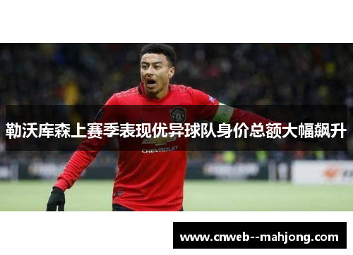 勒沃库森上赛季表现优异球队身价总额大幅飙升